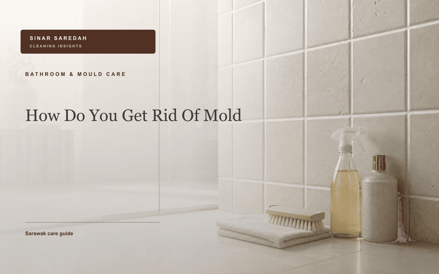 How Do You Get Rid Of Mold | Sinar Saredah